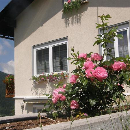 Ferienwohnung Brennseeblick Feld am See Zewnętrze zdjęcie